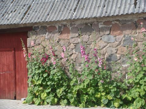 Lyngvej 16 B&B Skanderborg Bagian luar foto