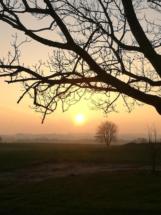 Lyngvej 16 B&B Skanderborg Bagian luar foto