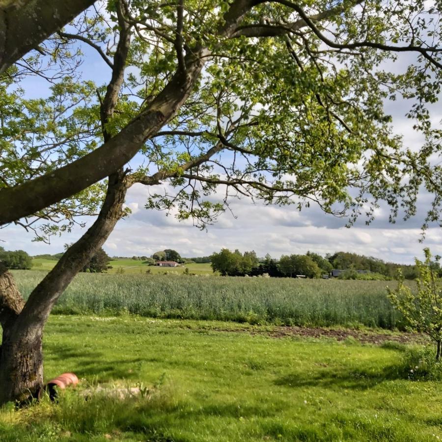 Lyngvej 16 B&B Skanderborg Bagian luar foto